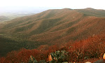 Sunset View from Hawksbill Mountain, the highest point in Shenandoah National Park in Virginia at 4050 ft (about 1350 meters).