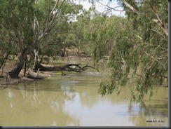 180315 087 Jerilderie