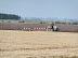 ploughing at North Coates