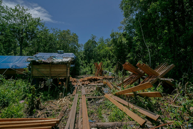 Illegal Logging in PT MPK Concession, Ketapang, 2 March 2018. This photograph shows a pooling area for processed woods which is also a camp for illegal loggers inside PT MPK concession in Sungai Putri, Ketapang, West Kalimantan. Photo: Greenpeace