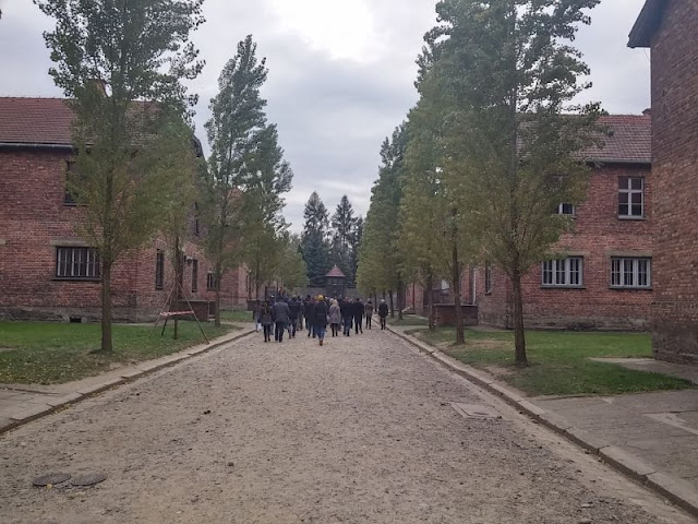 11/10- Auschwitz: De quedarse roto y sin palabras - Patea conmigo Cracovia (20)