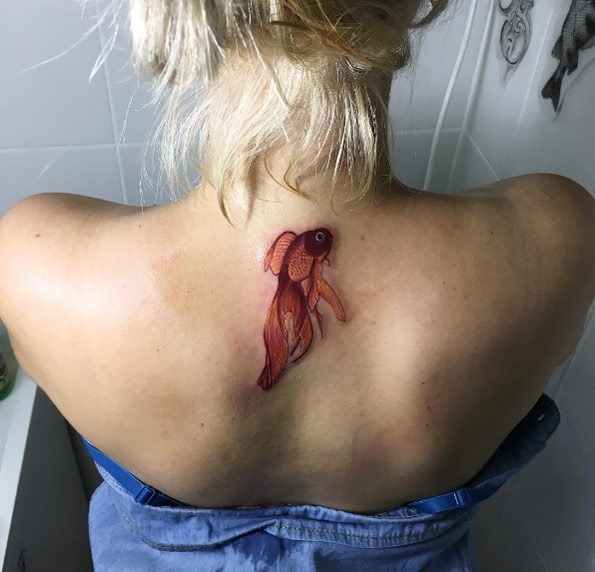 esta_perfeito_o_peixe_koi esta_perfeito_o_peixe_koi