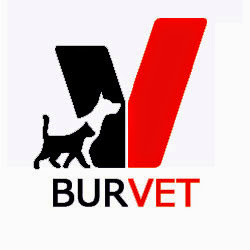 Burvet logo