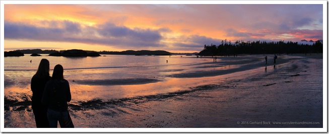 160902_Tofino_MacKenzieBeach_pano2