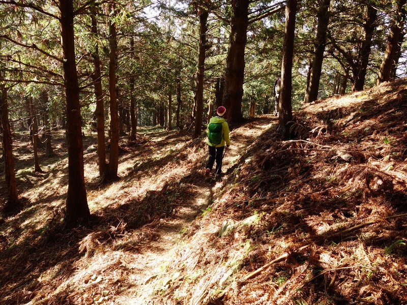 2014_0118 鳶嘴山西北稜→大崠山來回_073