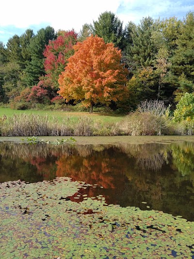 Photos of Zepernick Wildlife Area