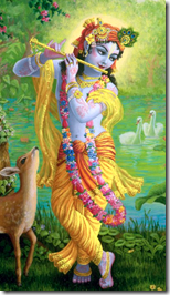 [Lord Krishna]