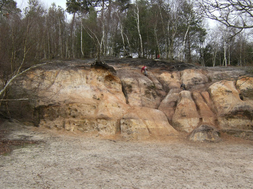 1004050025 Sandstone rocks, Rackham