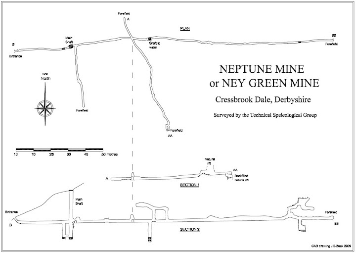 Neptune Mine Survey