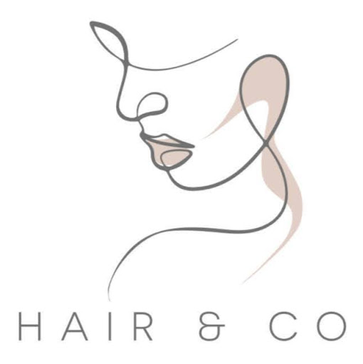 NASH Hair & Co logo