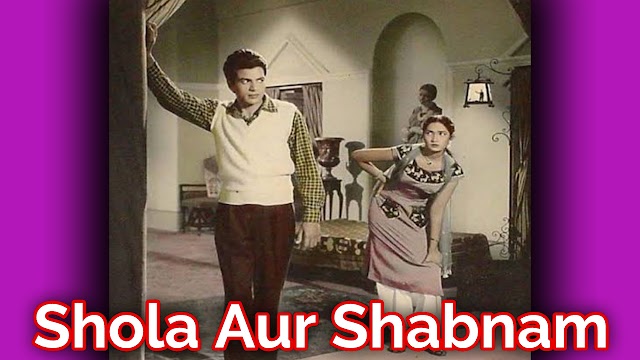 Shola Aur Shabnam 1961 Movie Lifetime Worldwide Collection