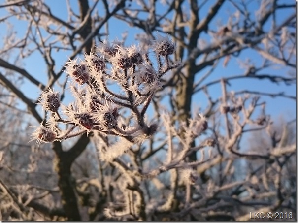 DSC_0760 DSC_0760