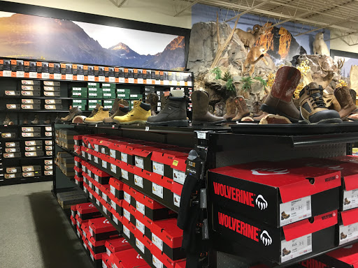 Outdoor Sports Store «Field & Stream», reviews and photos, 870 Walt Whitman Rd Ste B, Melville, NY 11747, USA