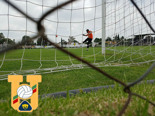 Campos De Futbol Cabaña, Av. El Polvorin 8, Atzacoalco, 54770 Teoloyucan, Méx., México, Campo de fútbol | EDOMEX