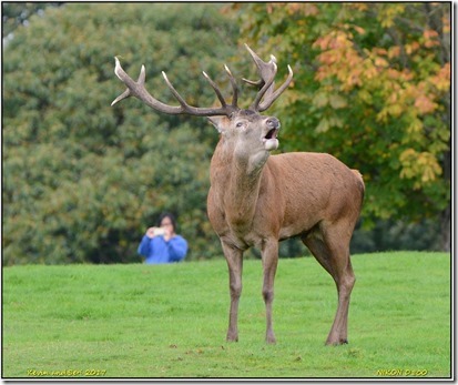 Wollaton Hall - October