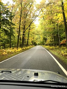 Tunnel of Trees drive