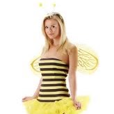 Bee Honey Photo 32