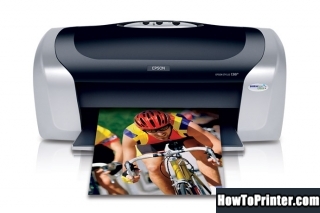 Reset Epson C88 printer by Resetter program