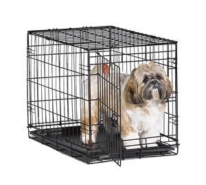 dog crate