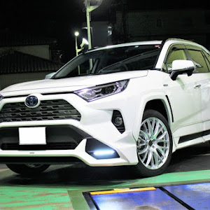 RAV4 AXAH54