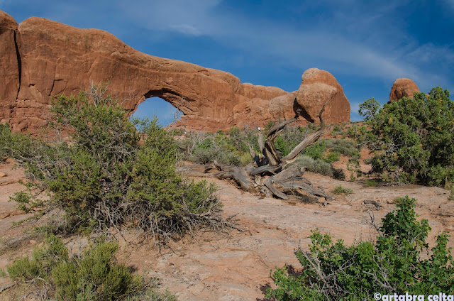 Dos Jornadas Completas en ARCHES NATIONAL PARK - OESTE DE EEUU 2015. UN MES POR LOS PARQUES NATURALES DE 6 ESTADOS (TERMINADO!!) (6)