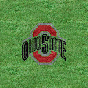 Samsung%252520Reality%252520Ohio%252520State%252520Buckeyes.jpg