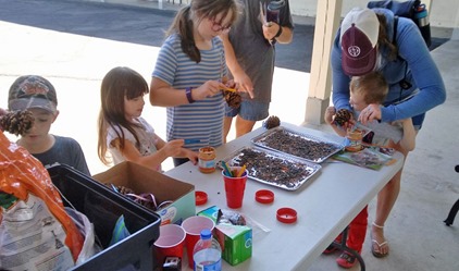 Pine Cone Craft