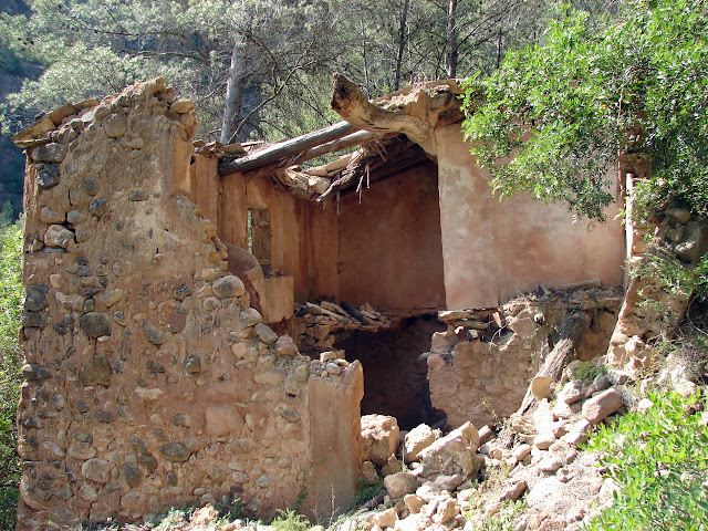 Senderismo - Cirat - Fte Umbría - Collado Blanco - Bco Salinas