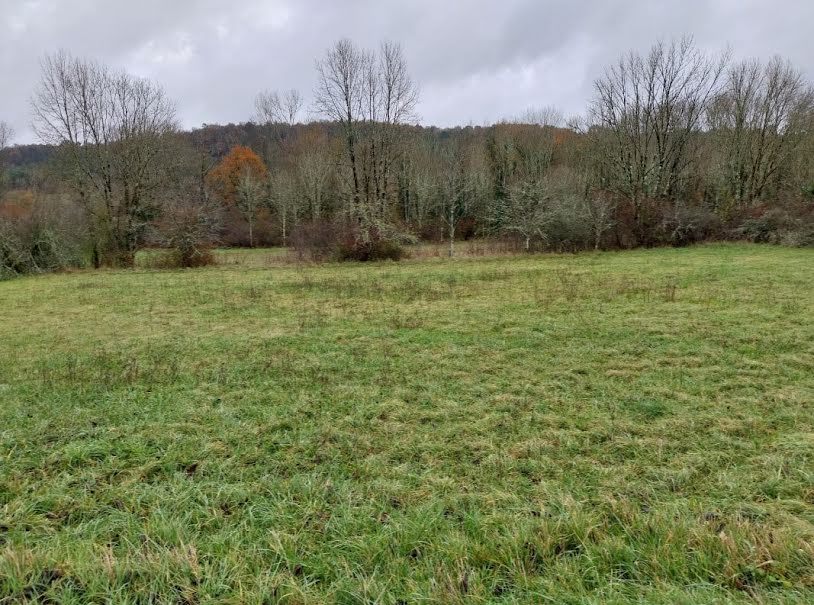 Vente terrain  1800 m² à Château-l'Evêque (24460), 38 500 €