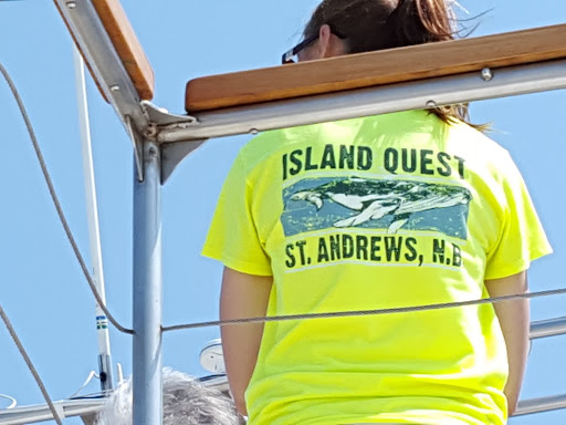 Whale watching tour, St. Andrews. From A photo journey through New Brunswick, Canada