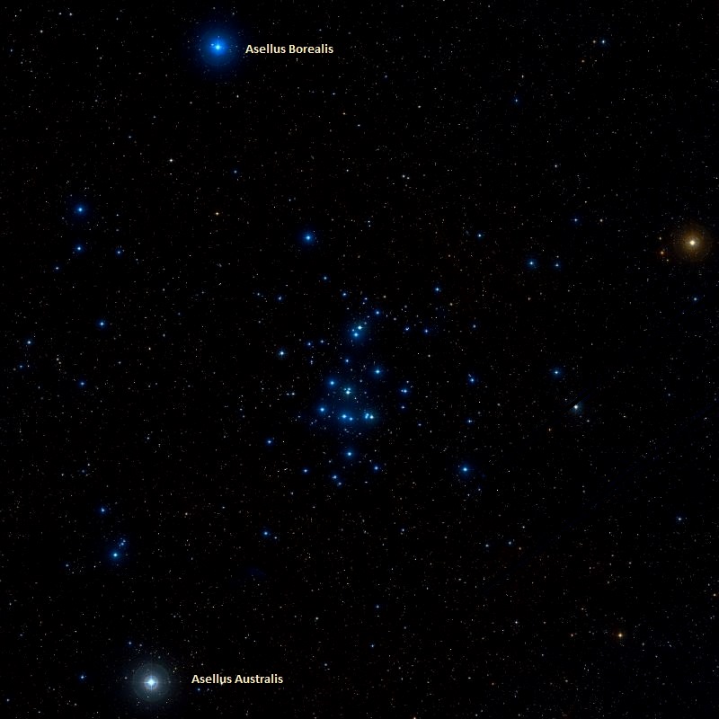 파일:external/www.messier-objects.com/Praesepe-Asellus-Australis-and-Asellus-Borealis.jpg