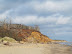 Trees from Easton Woods succumbing to the sea