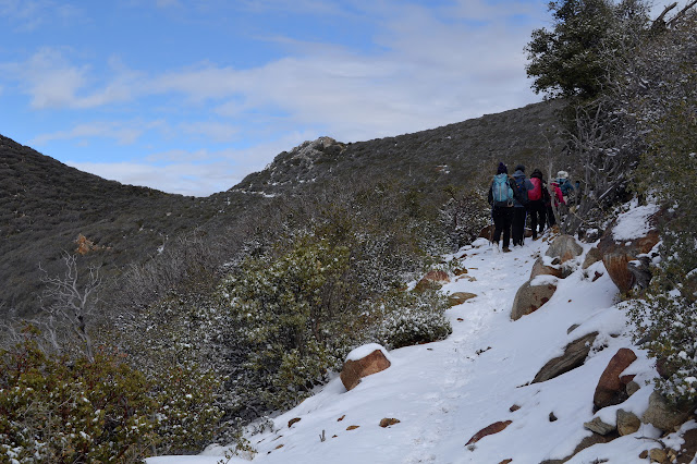 snow covered trail