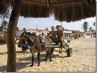 galinhos-taxi-carroca