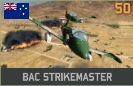 파일:attachment/bac_striker.jpg