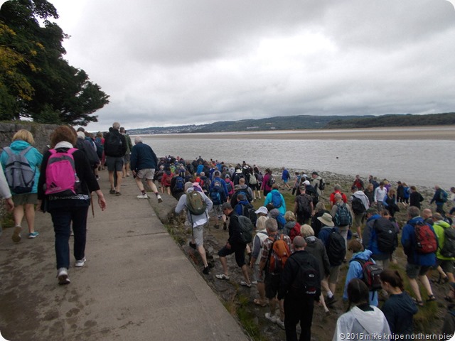 elephant trees and morecambe bay 013