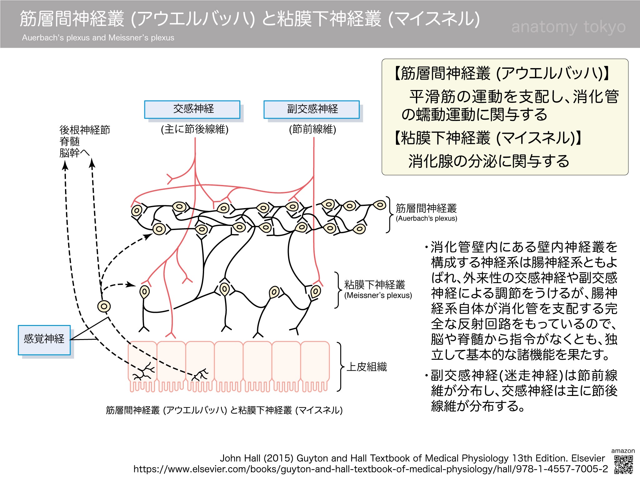 叢 ブックス