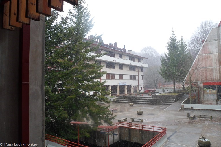 SAM_7037 SAM_7037
