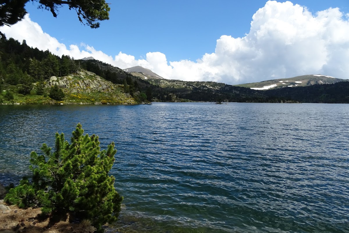 DSC03504.JPG