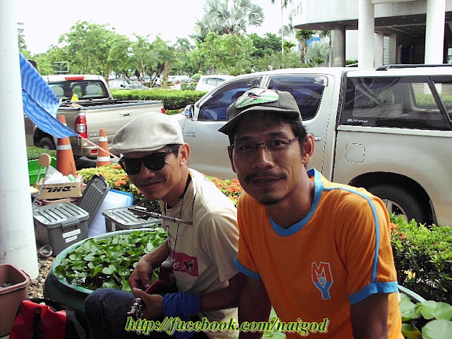 รูปภาพ