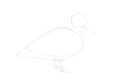 how to draw a duck