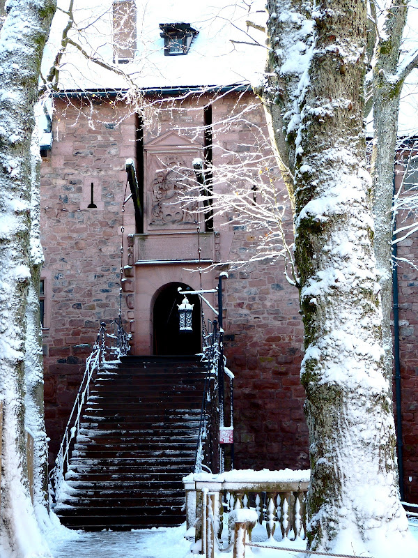 Le château de Koenigsbourg P1020391