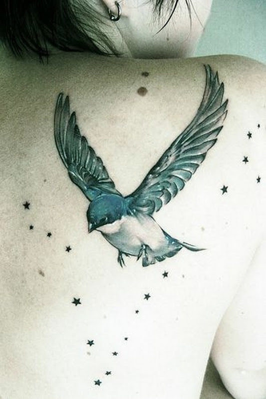 aves_e_estrelas_de_tatuagem