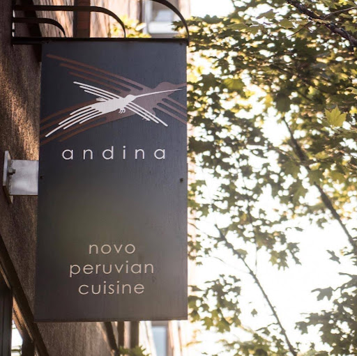 Andina logo