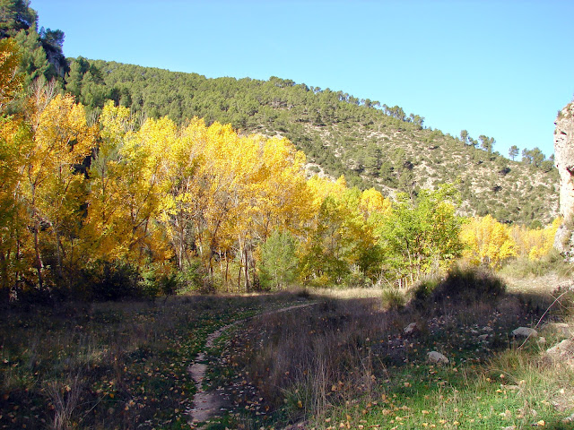 senderismo - Cañón del río Mira