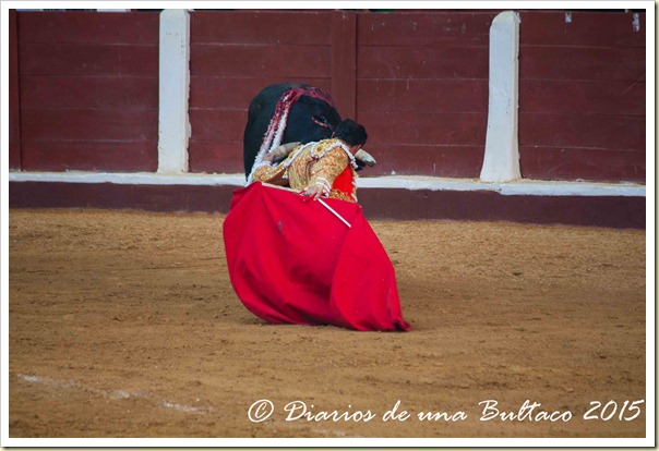 Toros Feria 2015-9823