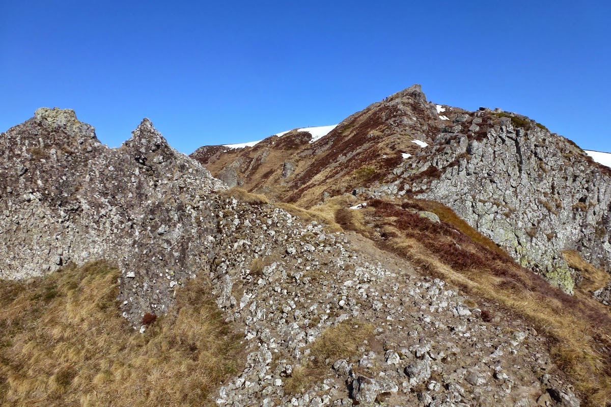 P1000155.JPG