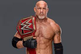 Bill Goldberg Net Worth, Age, Wiki, Biography, Height, Dating, Family, Career