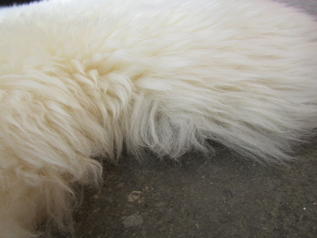 Bowrun Sheepskin Rug