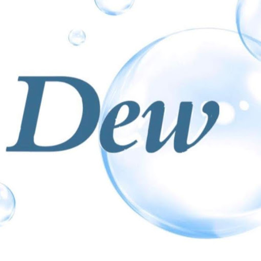 Salon Dew Inc logo